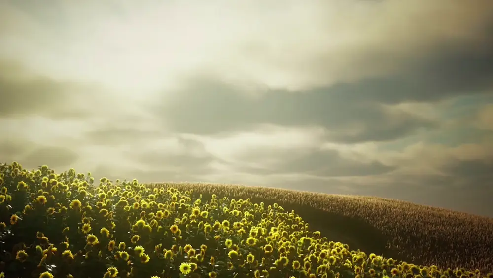 Girasoles – Fondo de Pantalla Animado