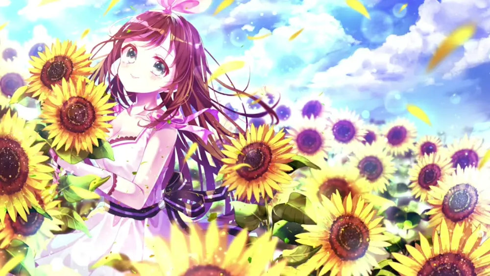 Girasoles – Fondo de Pantalla para PC, Android & iPhone