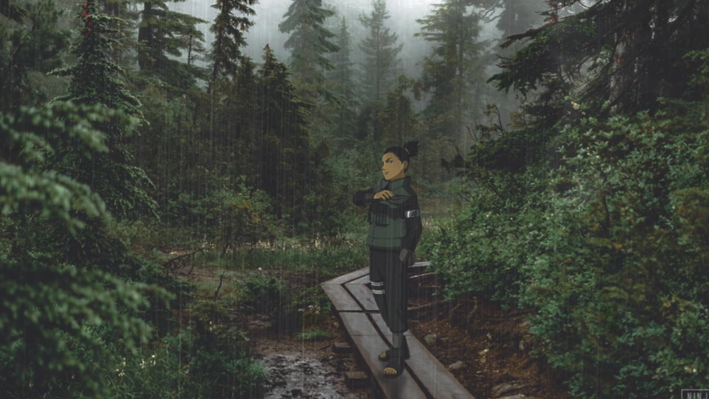 Shikamaru Nara - Fondo de Pantalla Animado para PC, Android & iPhone